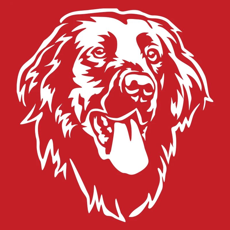 Flat-coated Retriever Head "Black Edition"