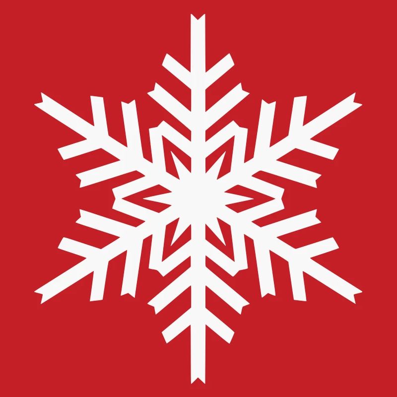 Geometric Snowflake