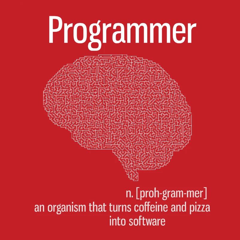 programmer brain pc informatik definition pizza lo