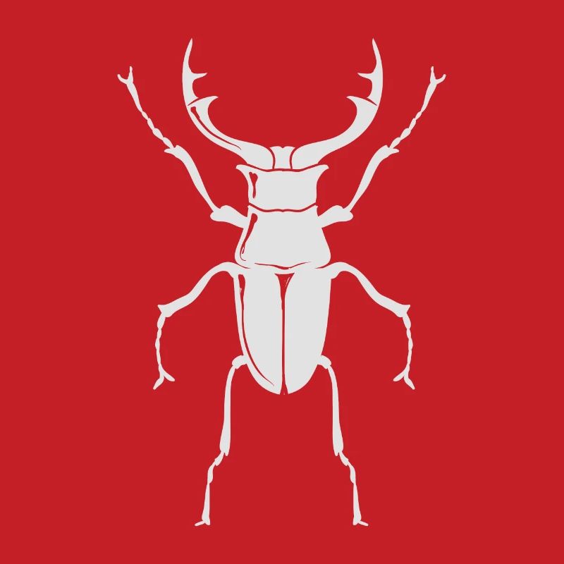 Large stag beetle - insect