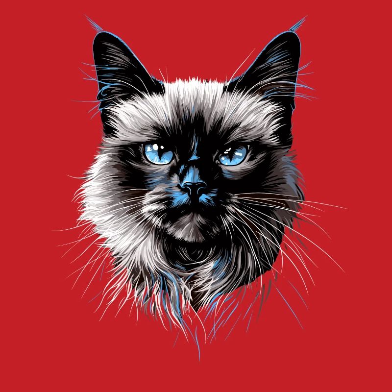 Chat Birman Chat Birman Sacré Chat Birman Mignon Chats Birmans