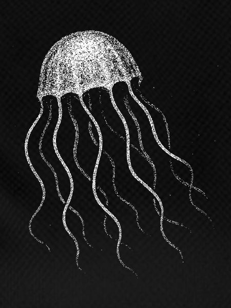 Jellyfish