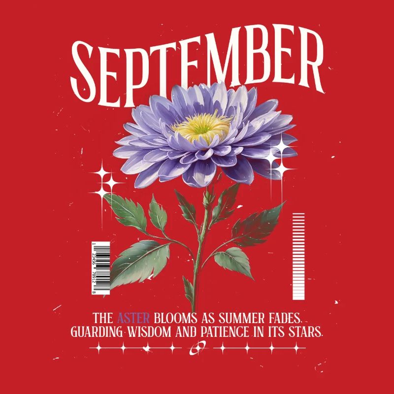 Naissance Fleurs Naissance Fleur Septembre Aster