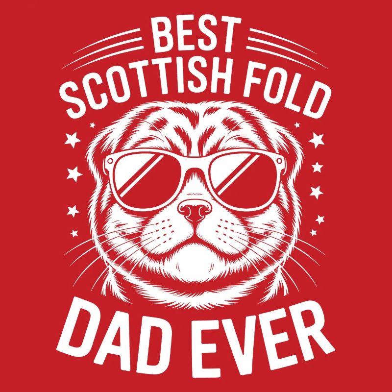 Schottische Faltohrkatzen Scottish Fold Geschenk
