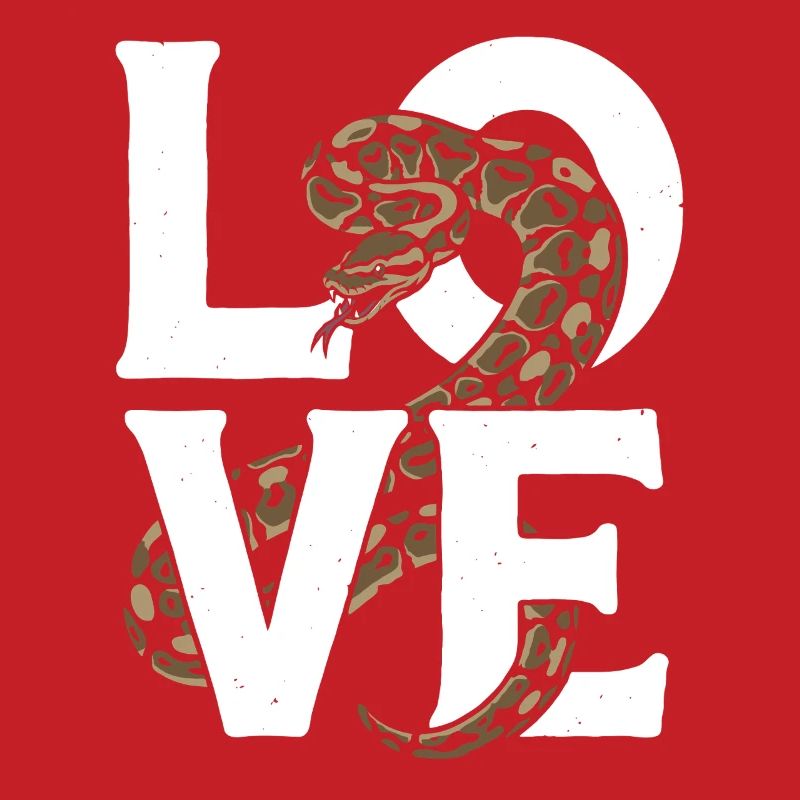 King Python Snakes LOVE Terrarium Python