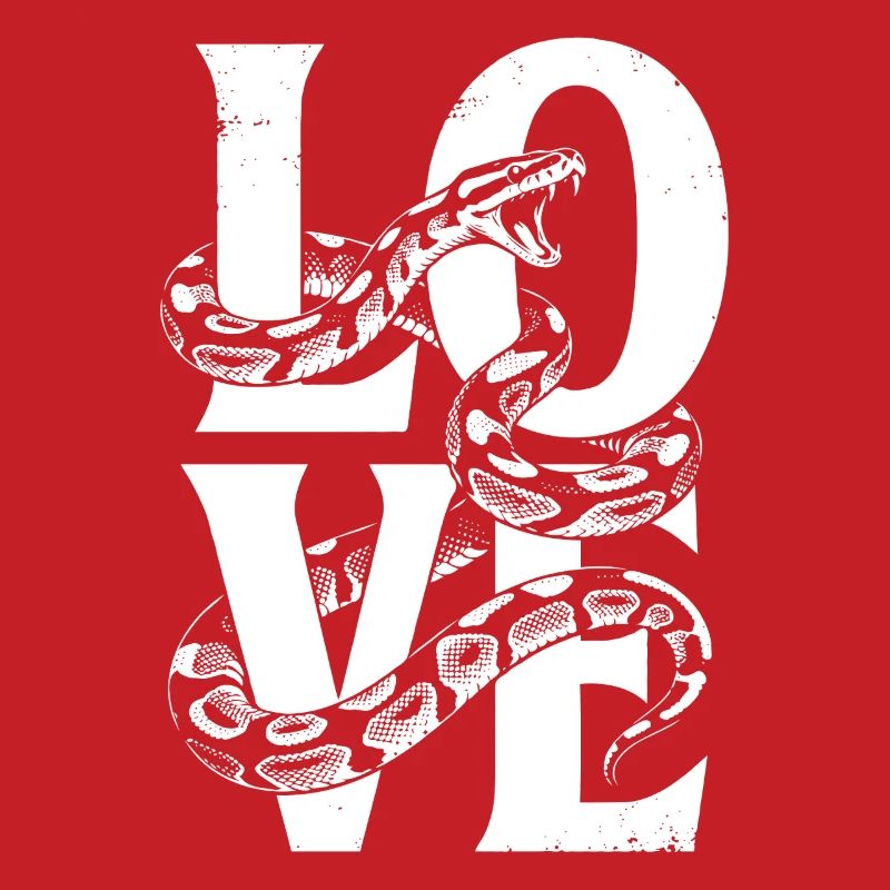 King Python Snakes LOVE Terrarium Python