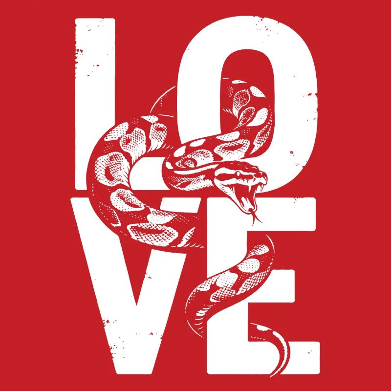 King Python Snakes LOVE Terrarium Python