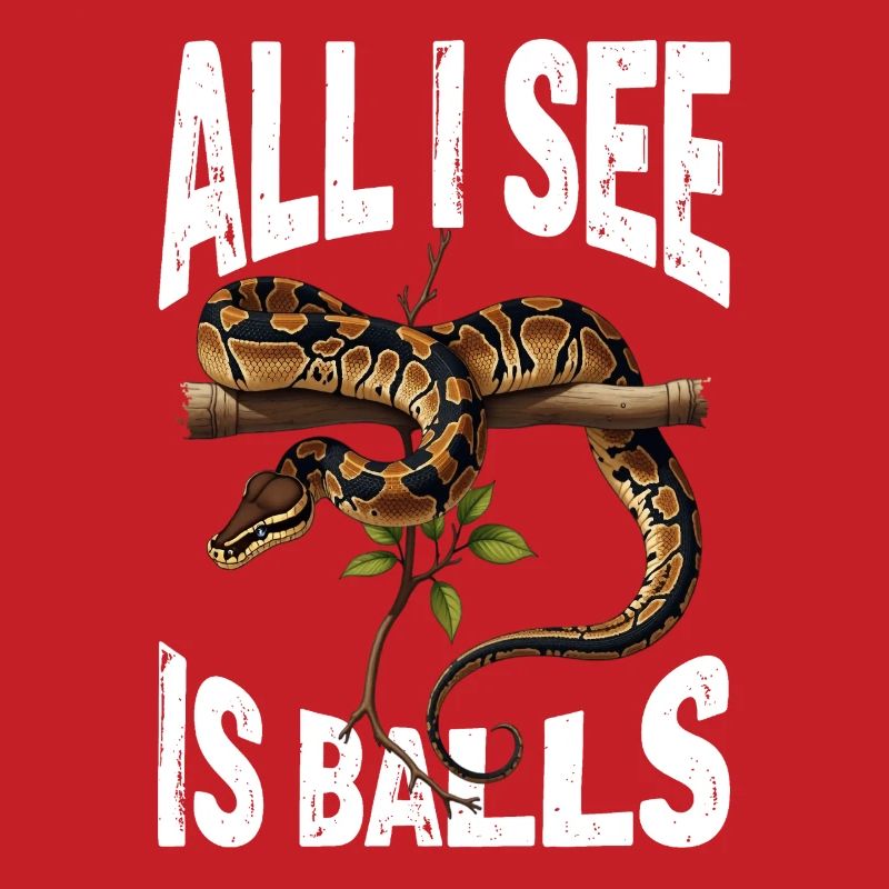 Python roi Serpents Amateurs de terrarium Python