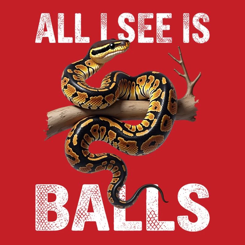 Python roi Serpents Amateurs de terrarium Python