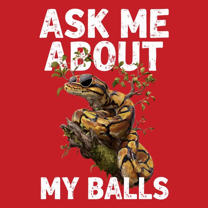 Königspython Schlangen Liebhaber Terrarium Python