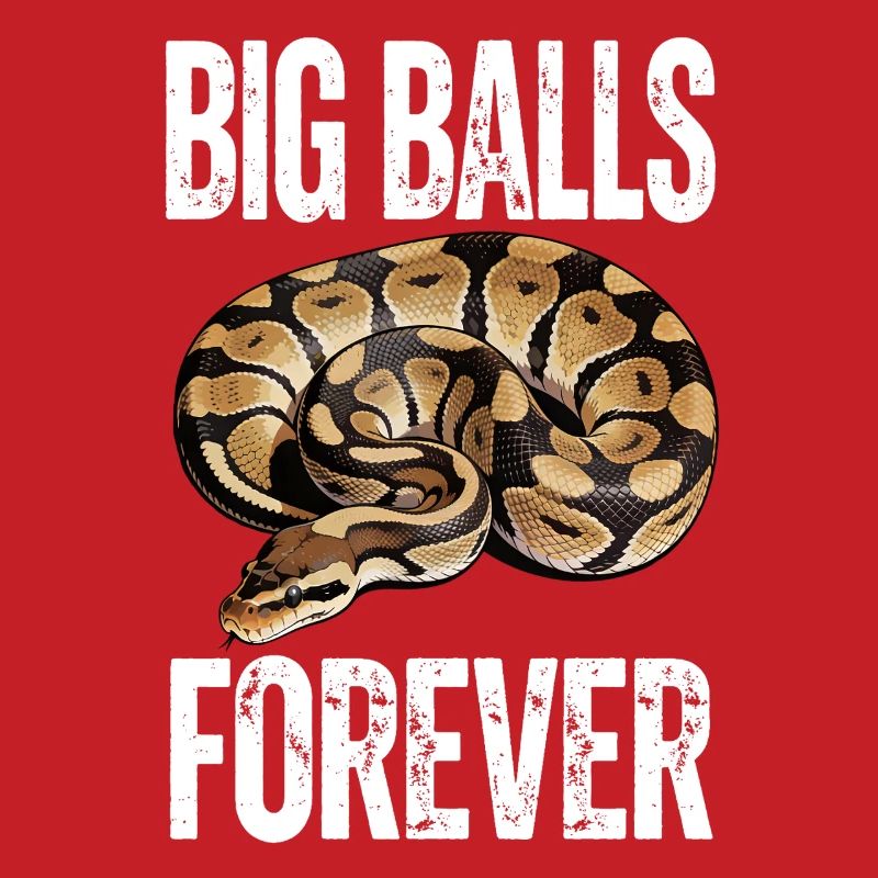 Python roi Serpents Amateurs de terrarium Python