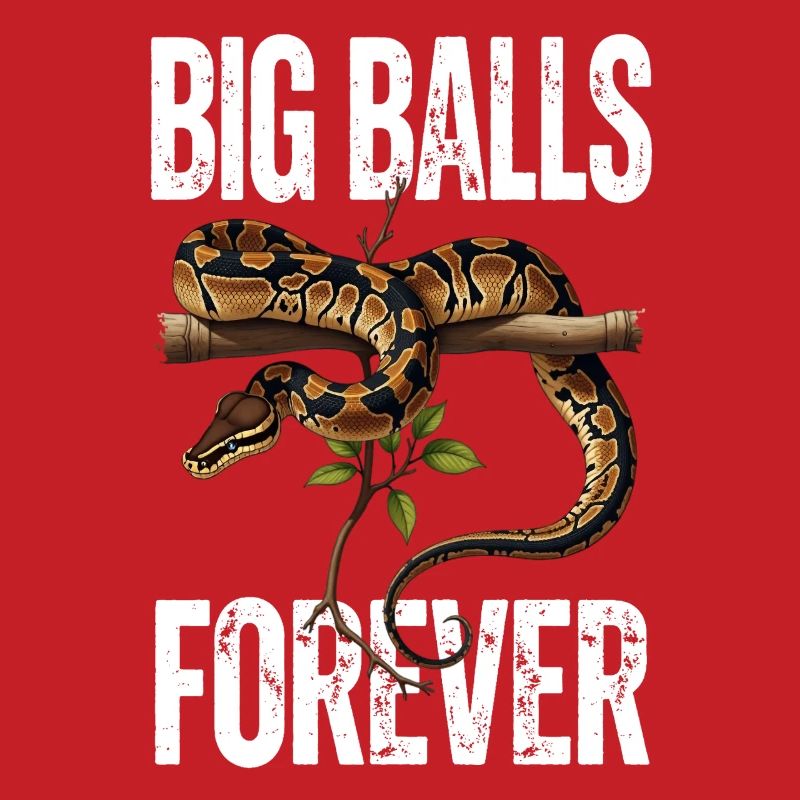 King Python Snakes Lover Terrarium Python