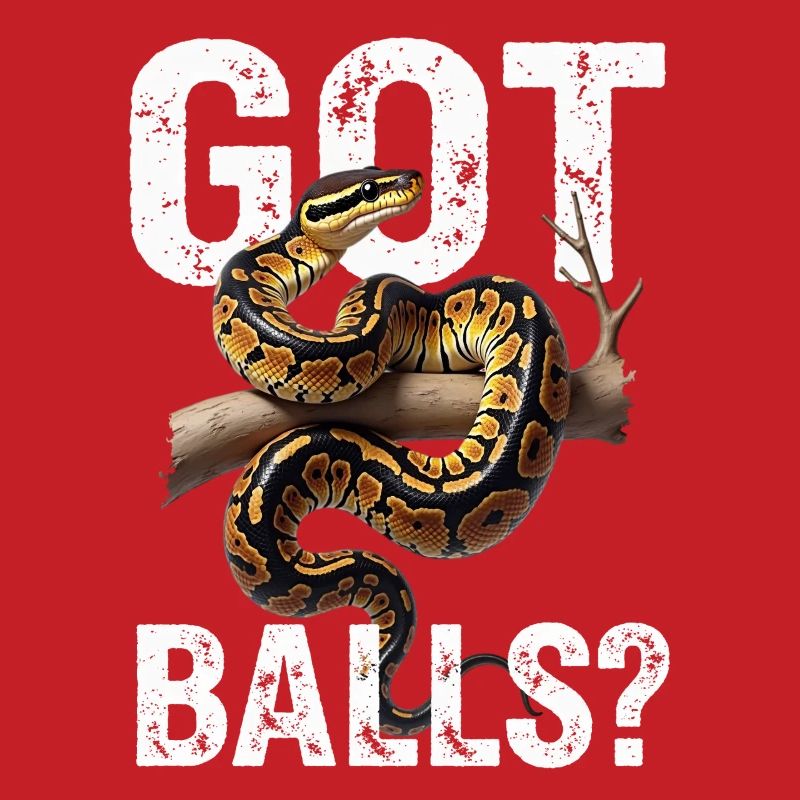 Python roi Serpents Amateurs de terrarium Python