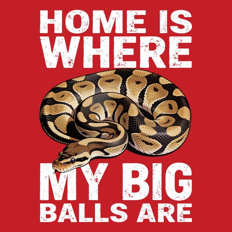 King Python Snakes Lover Terrarium Python