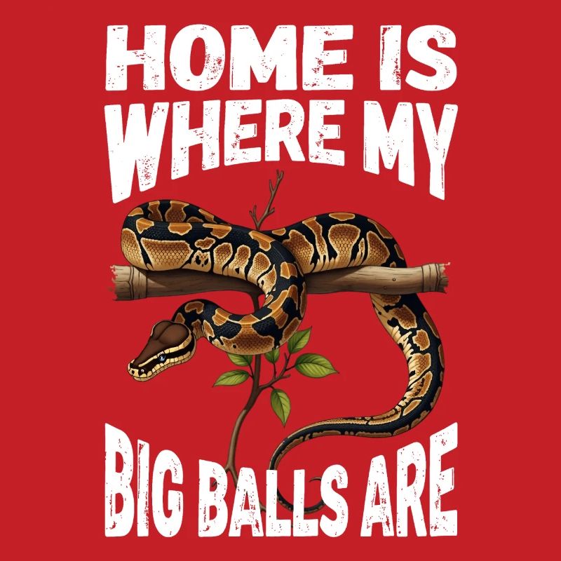 Python roi Serpents Amateurs de terrarium Python