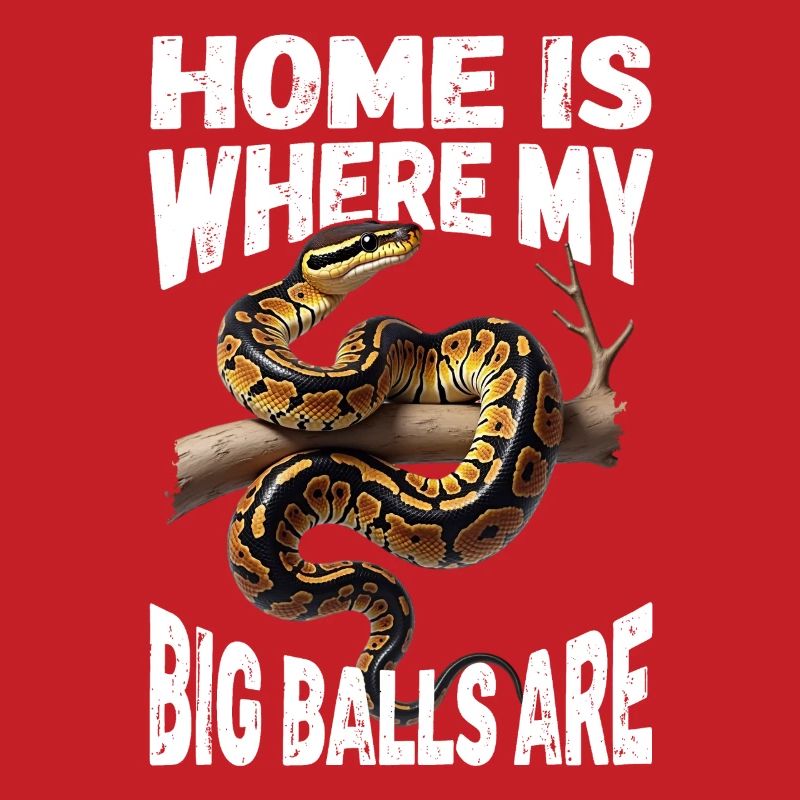 Königspython Schlangen Liebhaber Terrarium Python