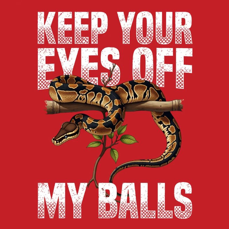 Python roi Serpents Amateurs de terrarium Python