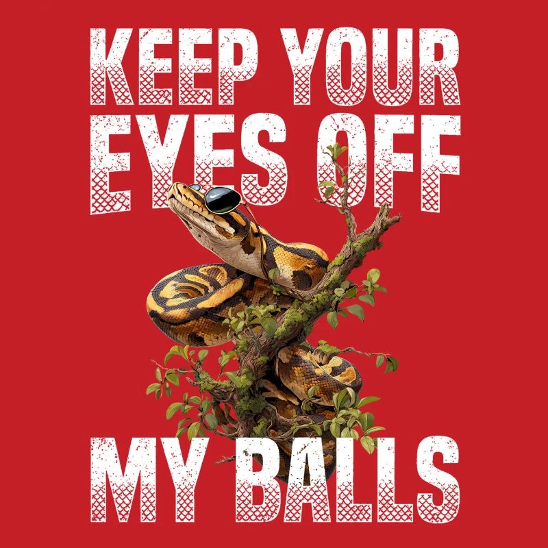 Python roi Serpents Amateurs de terrarium Python