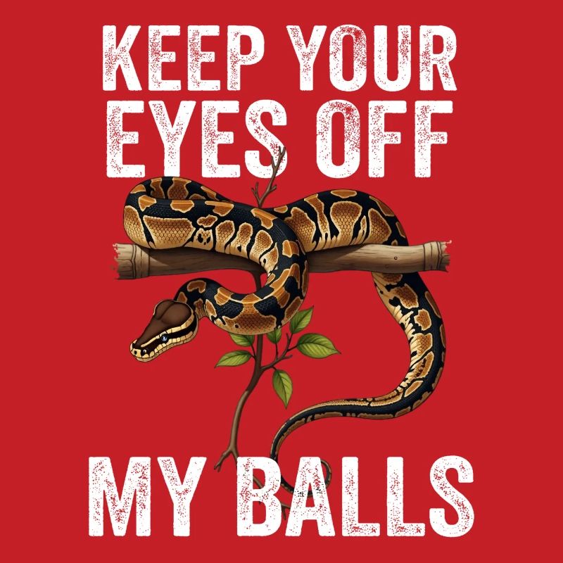 Python roi Serpents Amateurs de terrarium Python