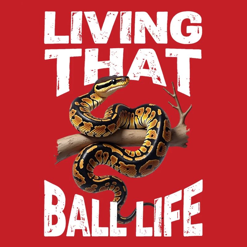 Python roi Serpents Amateurs de terrarium Python