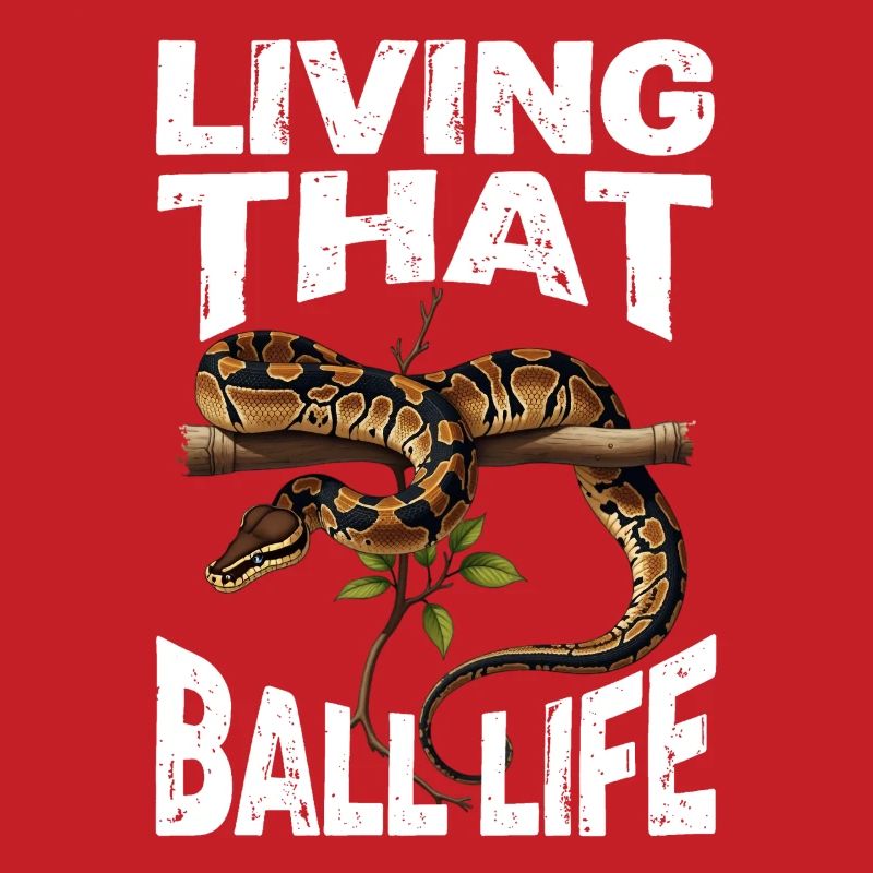 Python roi Serpents Amateurs de terrarium Python