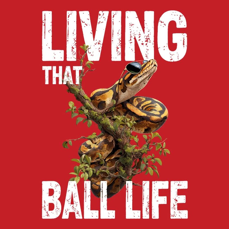 Python roi Serpents Amateurs de terrarium Python