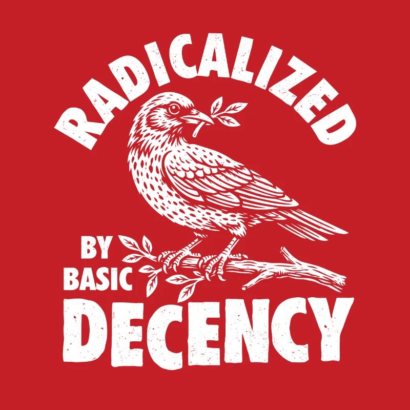 Radicalized Basic Decency Social Justice Kindness