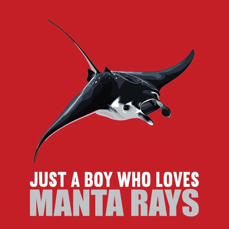 Rays Manta Rays