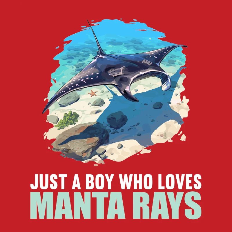 Rays Manta Rays