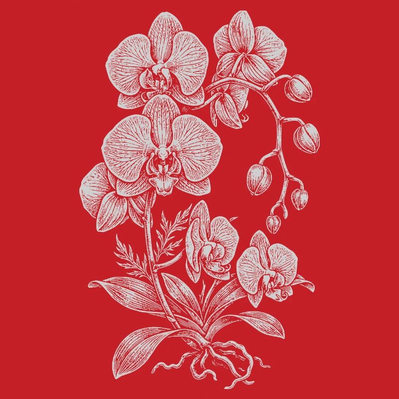 Orchid Linework Silk Floral