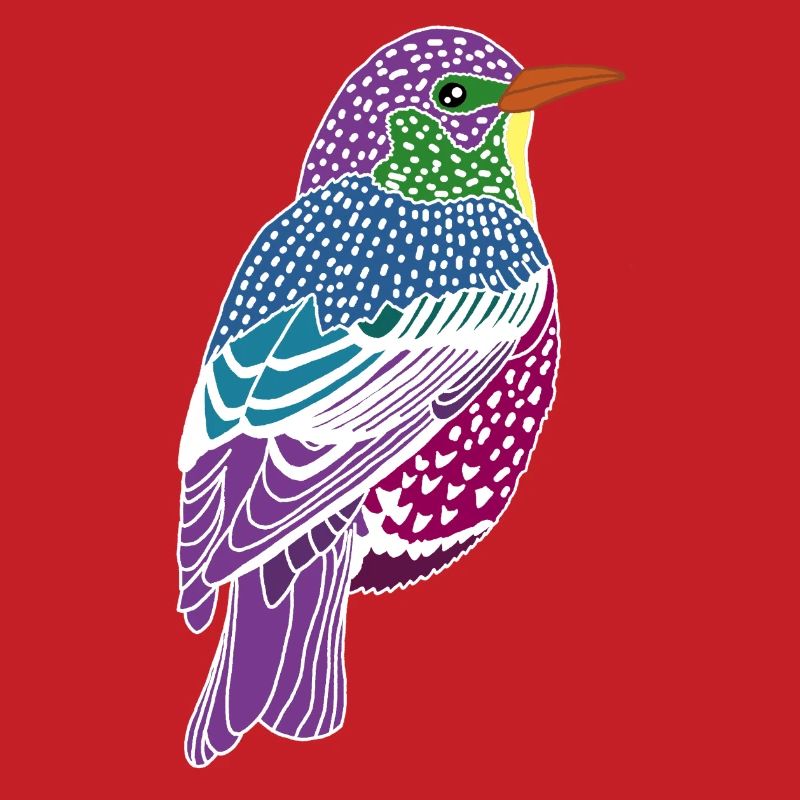 Oiseau multicolore