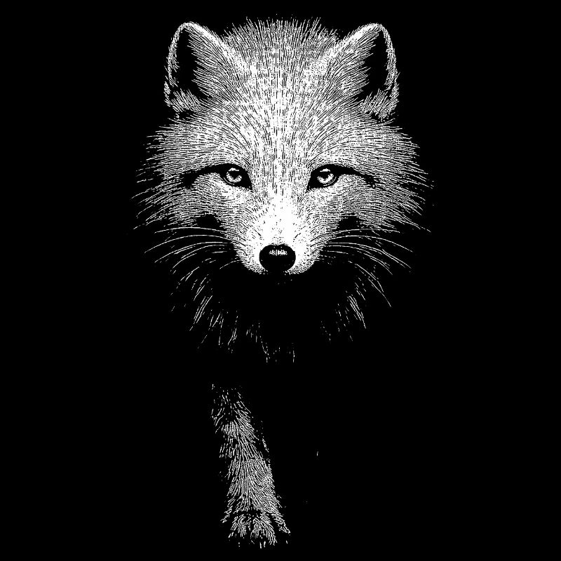 Arctic fox