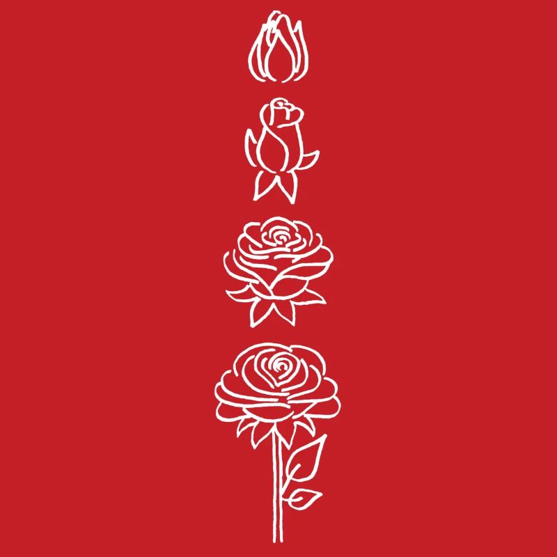 éclosion d'une fleur blanche