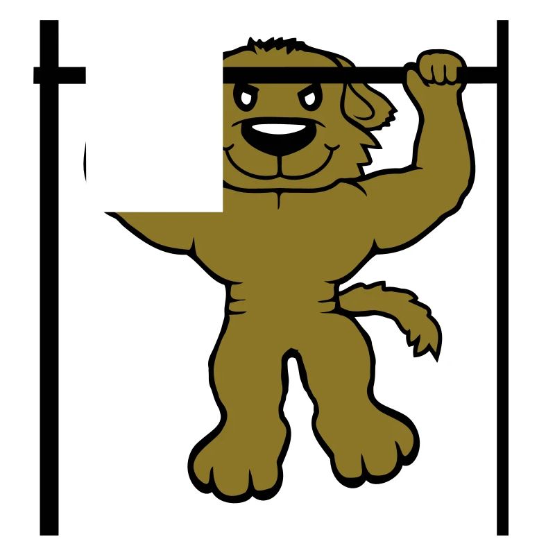 Chien Pull-ups Bar Muscles Gym Pull-Up Bar