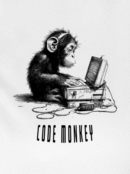 Code Monkay