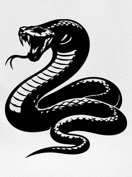 Schlange Python Silhouette