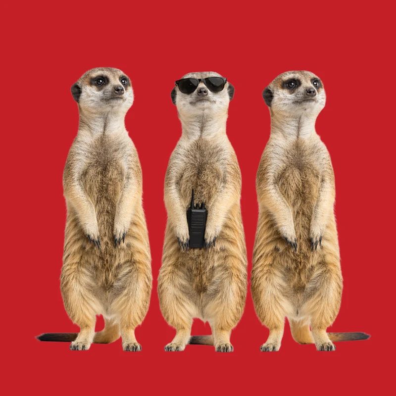 Funny Erdmänchen Security Team