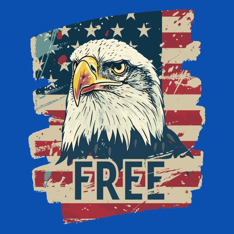 American flag with eagle
