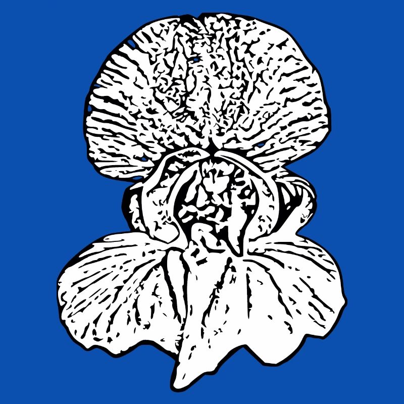 Muttertags Geschenk Mutter Muttertag Geschenkidee 