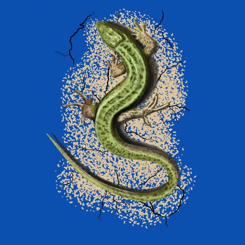 Lizard