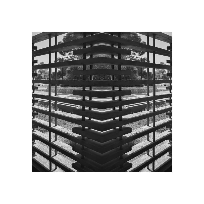 Bois abstrait V.1