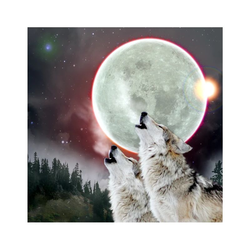 Wolves Howling Moon Eclipse Wolf Art