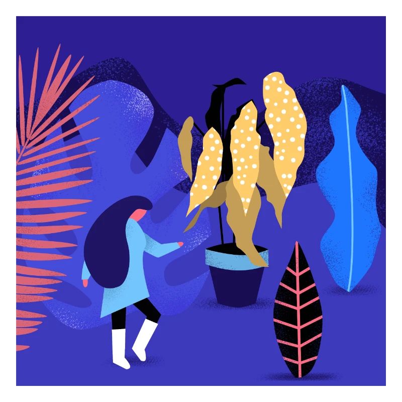 magic plants