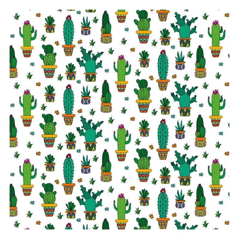 Cactus cacti desert deserts plant pattern