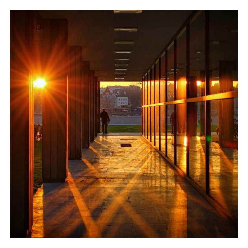 Sunset Shadows