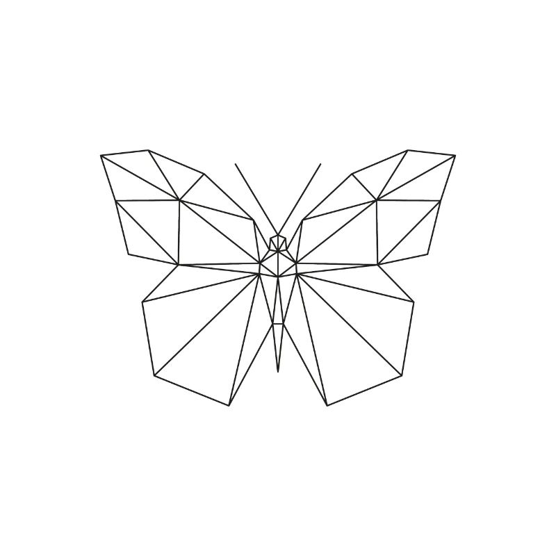 Butterfly Polygon