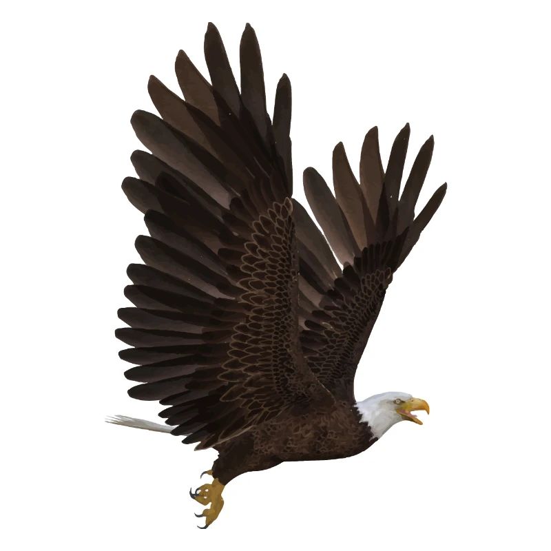 Aigle