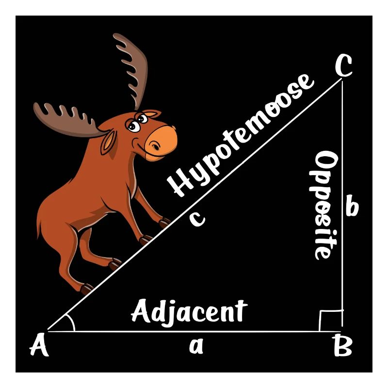 Moose Math Joke