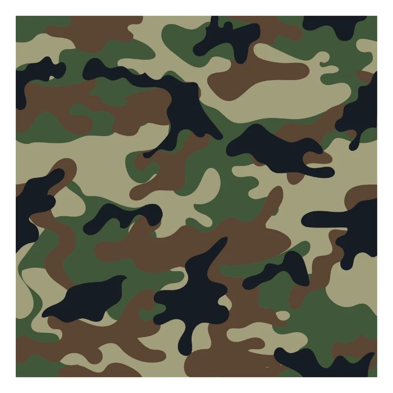 Wallpapered traditional camouflage patterns