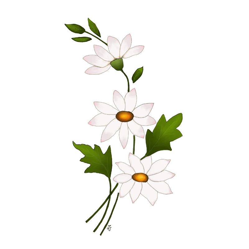 Gänseblümchenblüten
